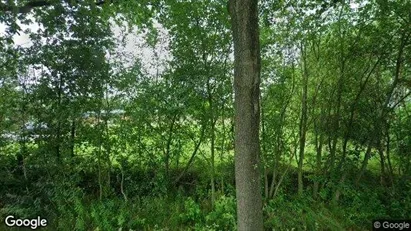 Producties for rent in Bladel - Photo from Google Street View