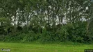 Commercial space for rent, Zaanstad, North Holland, Ringweg 271