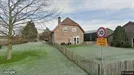 Commercial space for rent, Haarlemmermeer, North Holland, Kromme Spieringweg 238