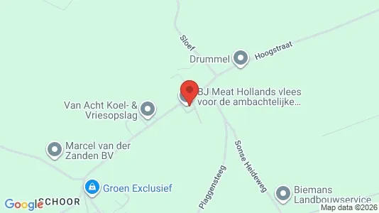 Bedrijfsruimtes for rent i Meierijstad - kort over placeringen