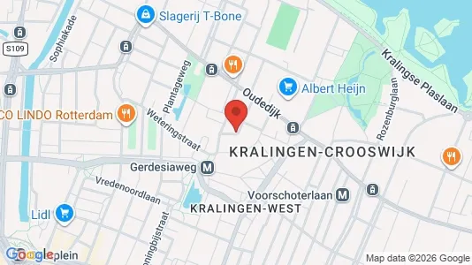 Bedrijfsruimtes for rent i Rotterdam Kralingen-Crooswijk - kort over placeringen