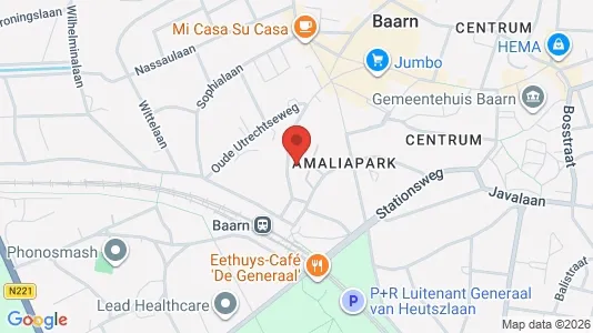 Bedrijfsruimtes for rent i Baarn - Foto uit Google Street View